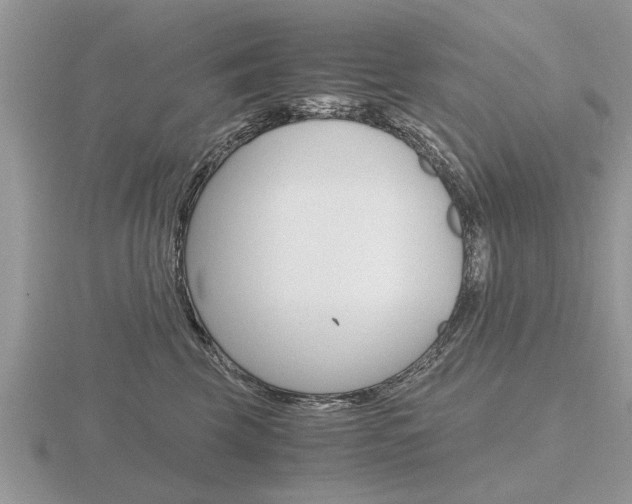 X0000116640569200912140947