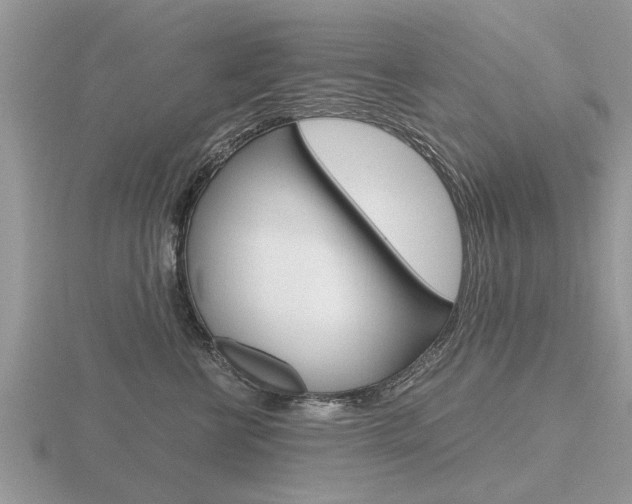 X0000116640570200912140947