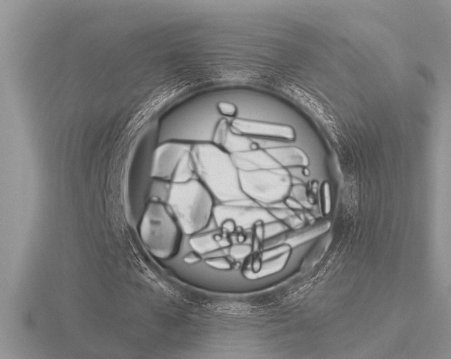 X0000116640577200912140947