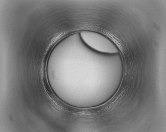X0000116640578200912140947
