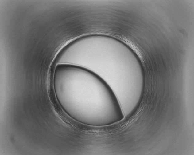 X0000116640580200912140947