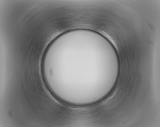 X0000116640581200912140947