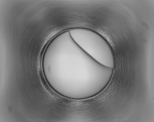 X0000116640582200912140947