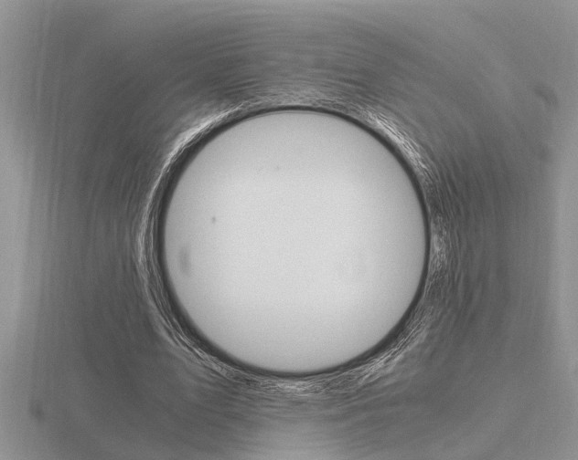 X0000116640583200912140947