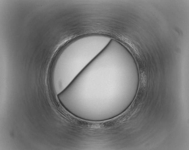 X0000116640587200912140947