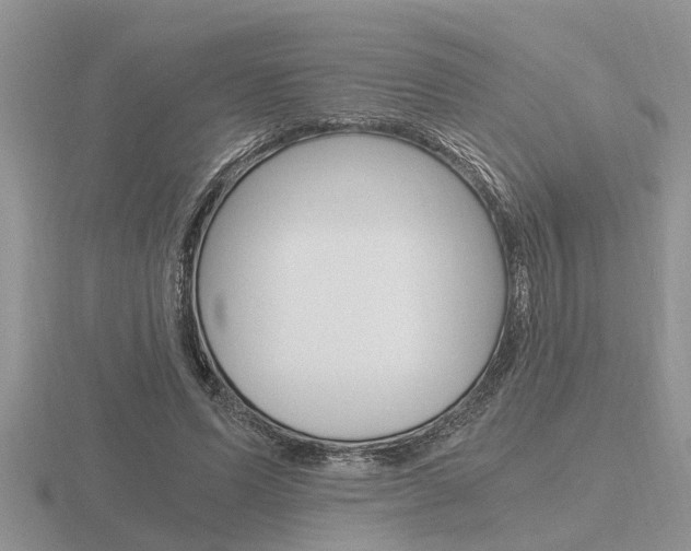 X0000116640591200912140947