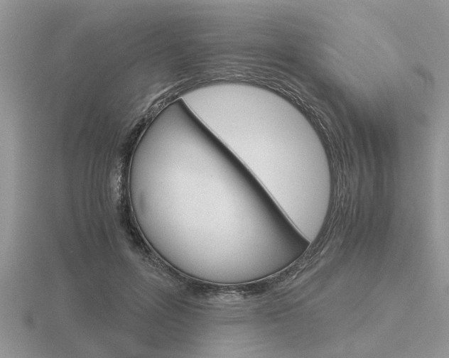X0000116640600200912140946
