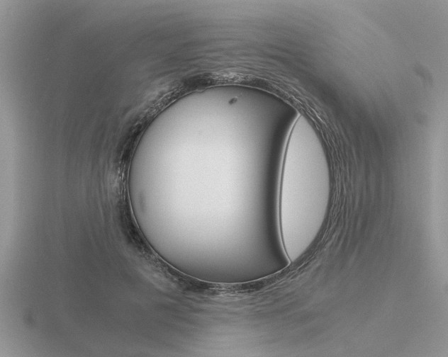 X0000116640601200912140946