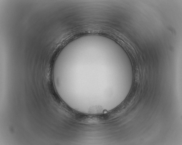 X0000116640604200912140946