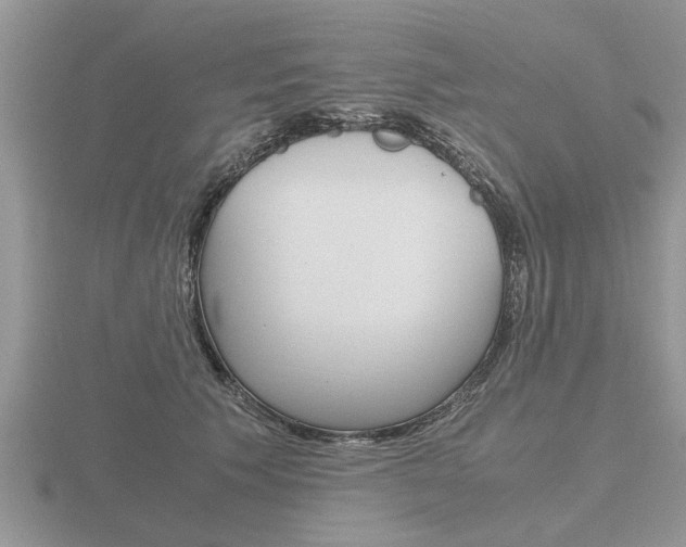 X0000116640609200912140946