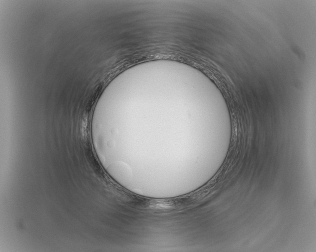 X0000116640610200912140946