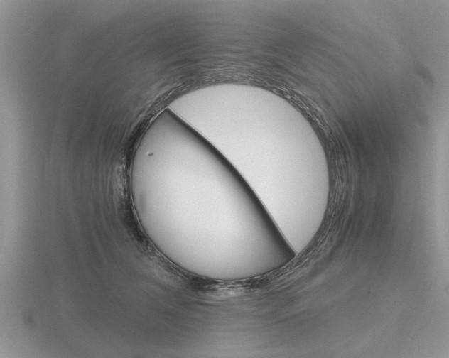X0000116640612200912140946