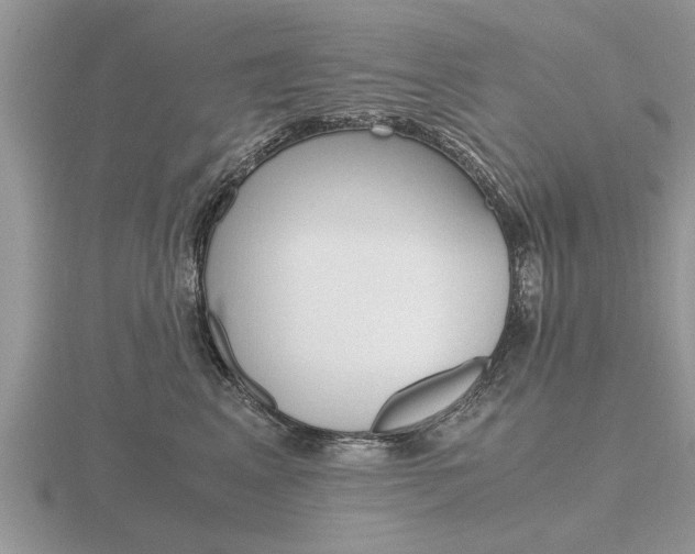 X0000116640617200912140946