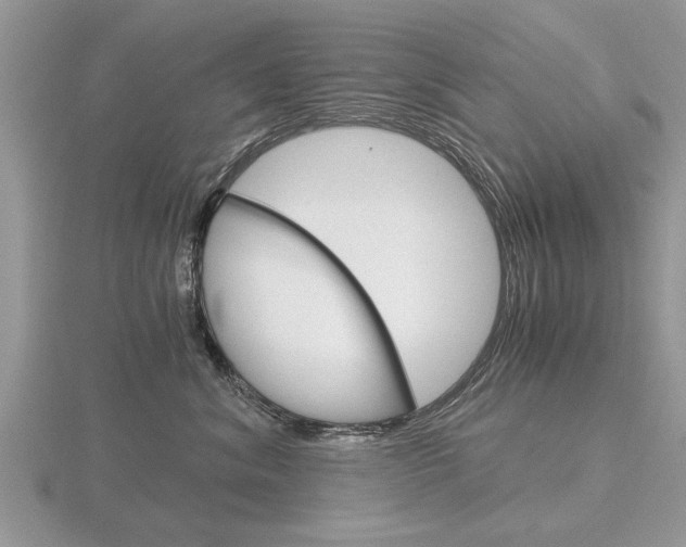 X0000116640620200912140946