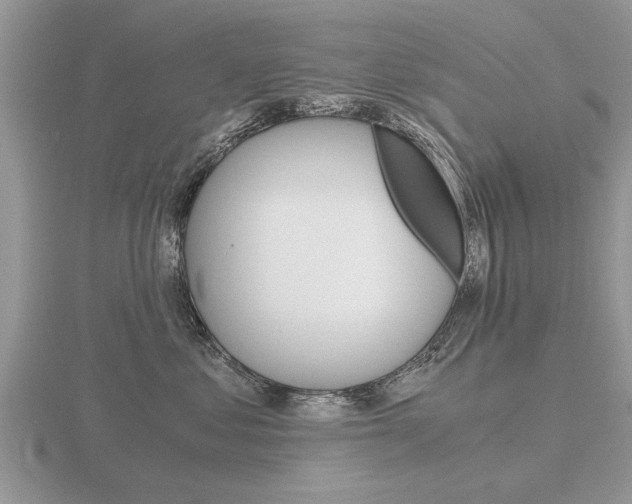 X0000116640621200912140946