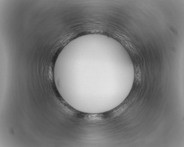 X0000116640622200912140946