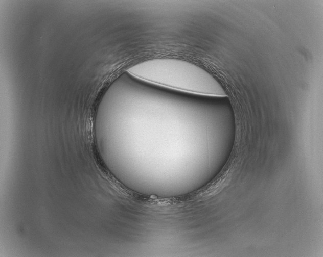 X0000116640624200912140946