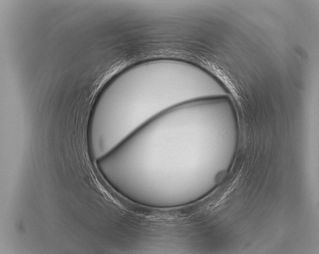 X0000116640625200912140945