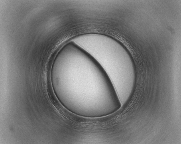 X0000116640626200912140945
