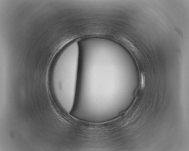 X0000116640627200912140945