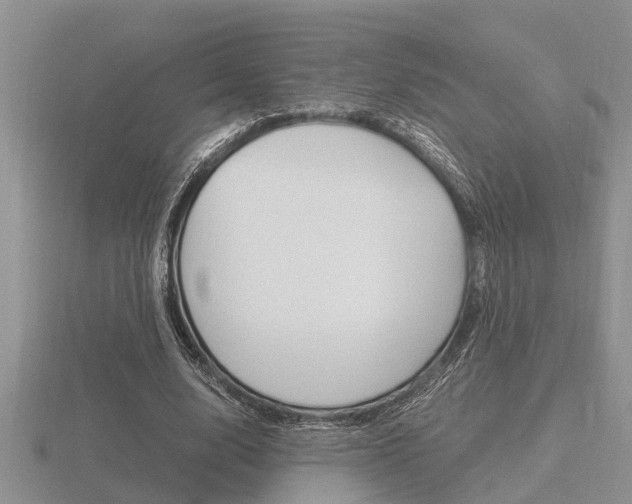 X0000116640632200912140945
