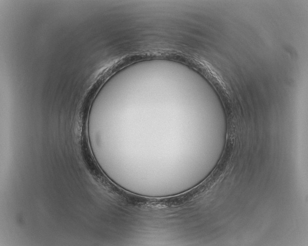X0000116640640200912140946