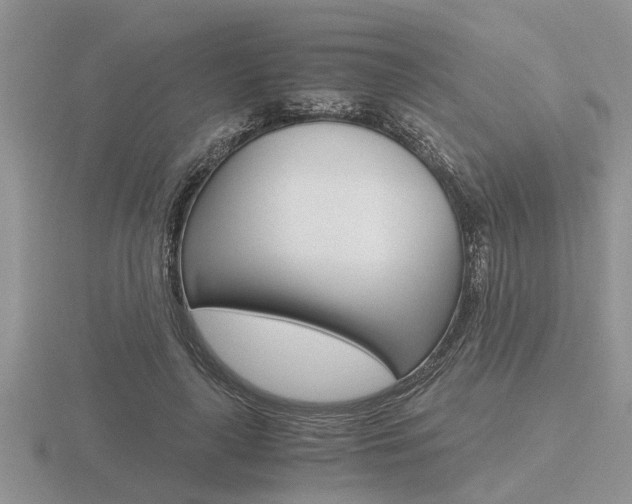 X0000116640643200912140946