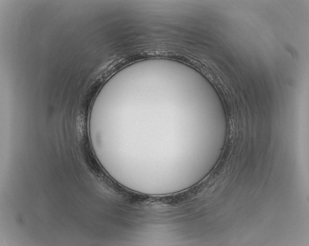 X0000116640648200912140946