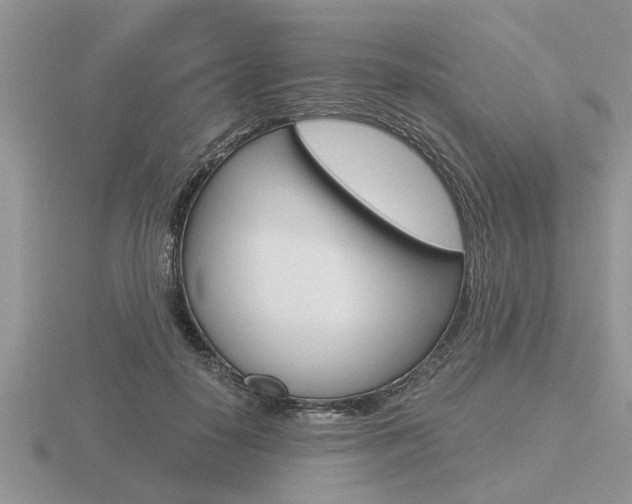 X0000116640650200912140946