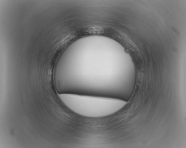 X0000116640652200912140946
