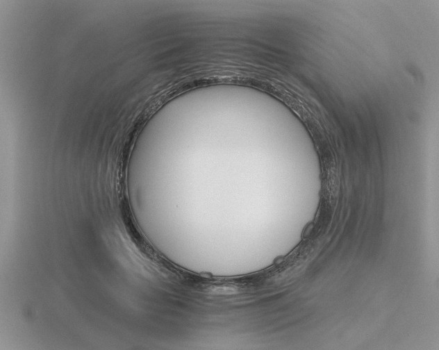 X0000116640653200912140946