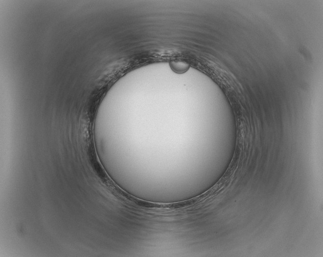 X0000116640654200912140946
