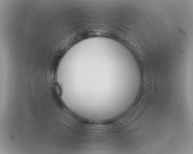 X0000116640657200912140946
