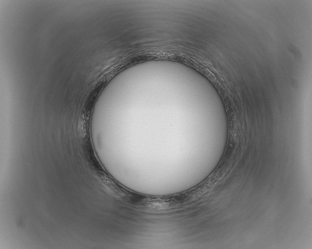 X0000116640658200912140946