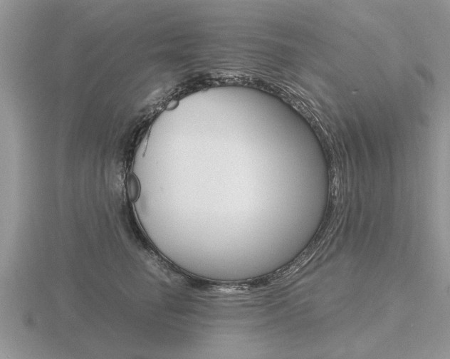 X0000116640662200912140946
