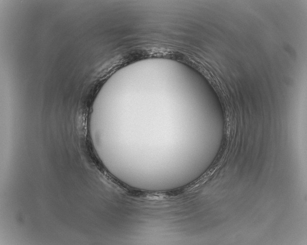 X0000116640666200912140946