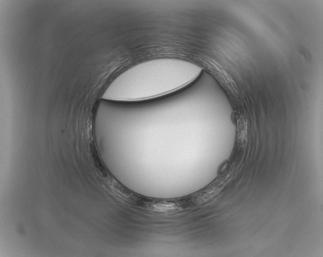 X0000116640669200912140946
