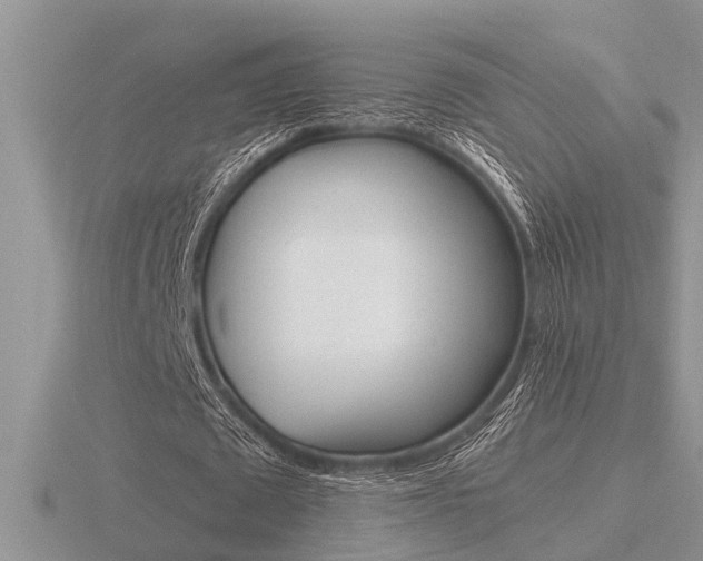X0000116640673200912140945