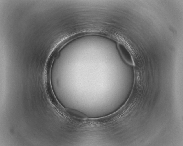 X0000116640676200912140945