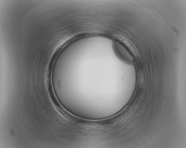 X0000116640677200912140945