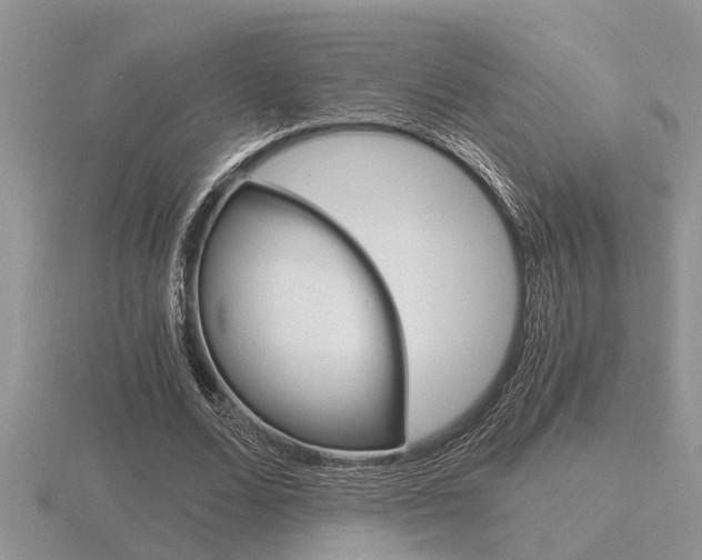 X0000116640680200912140945