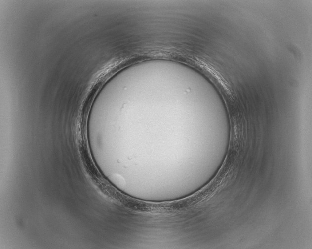 X0000116640682200912140945
