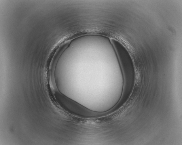 X0000116640684200912140945