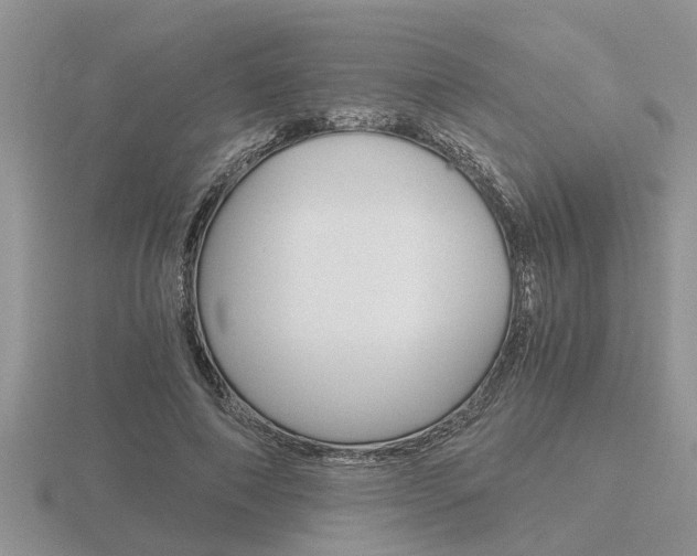 X0000116640690200912140945