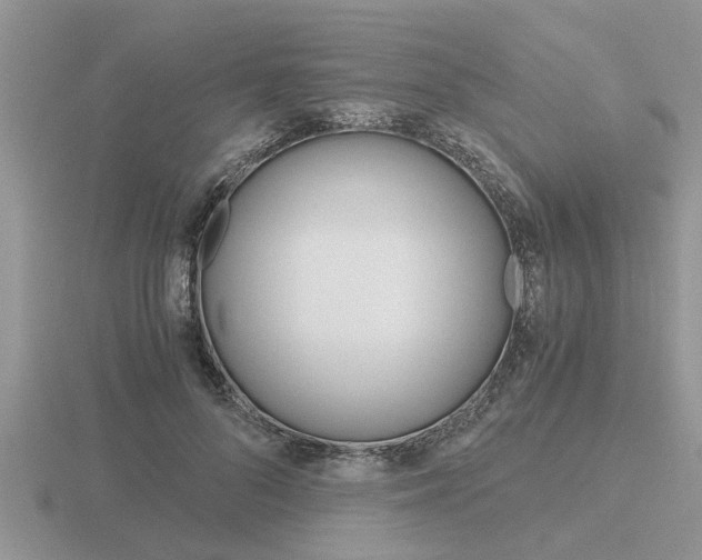 X0000116640696200912140945