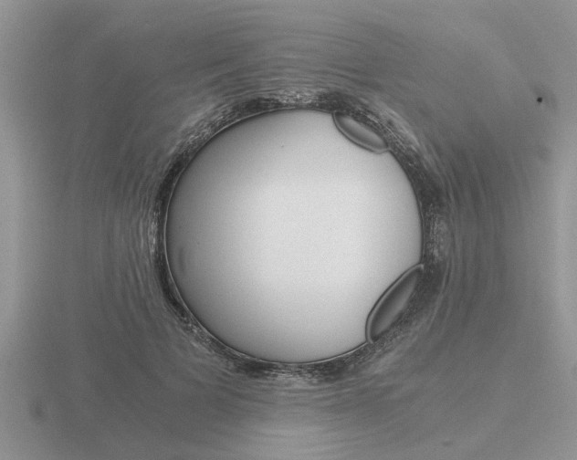 X0000116640697200912140945