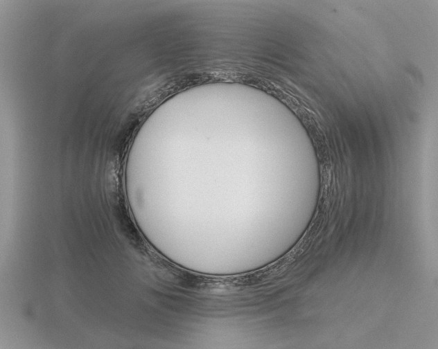 X0000116640702200912140945