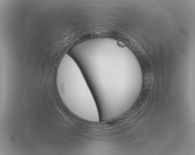 X0000116640703200912140945