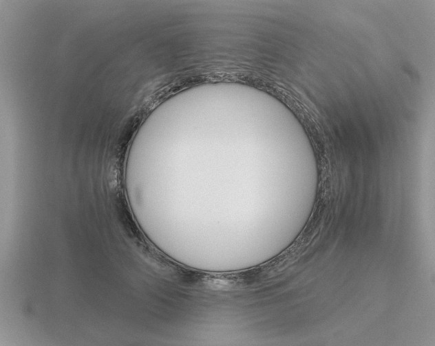 X0000116640706200912140945