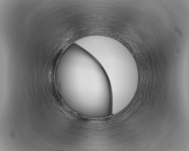 X0000116640708200912140945